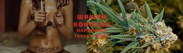 мдпв Новозыбков